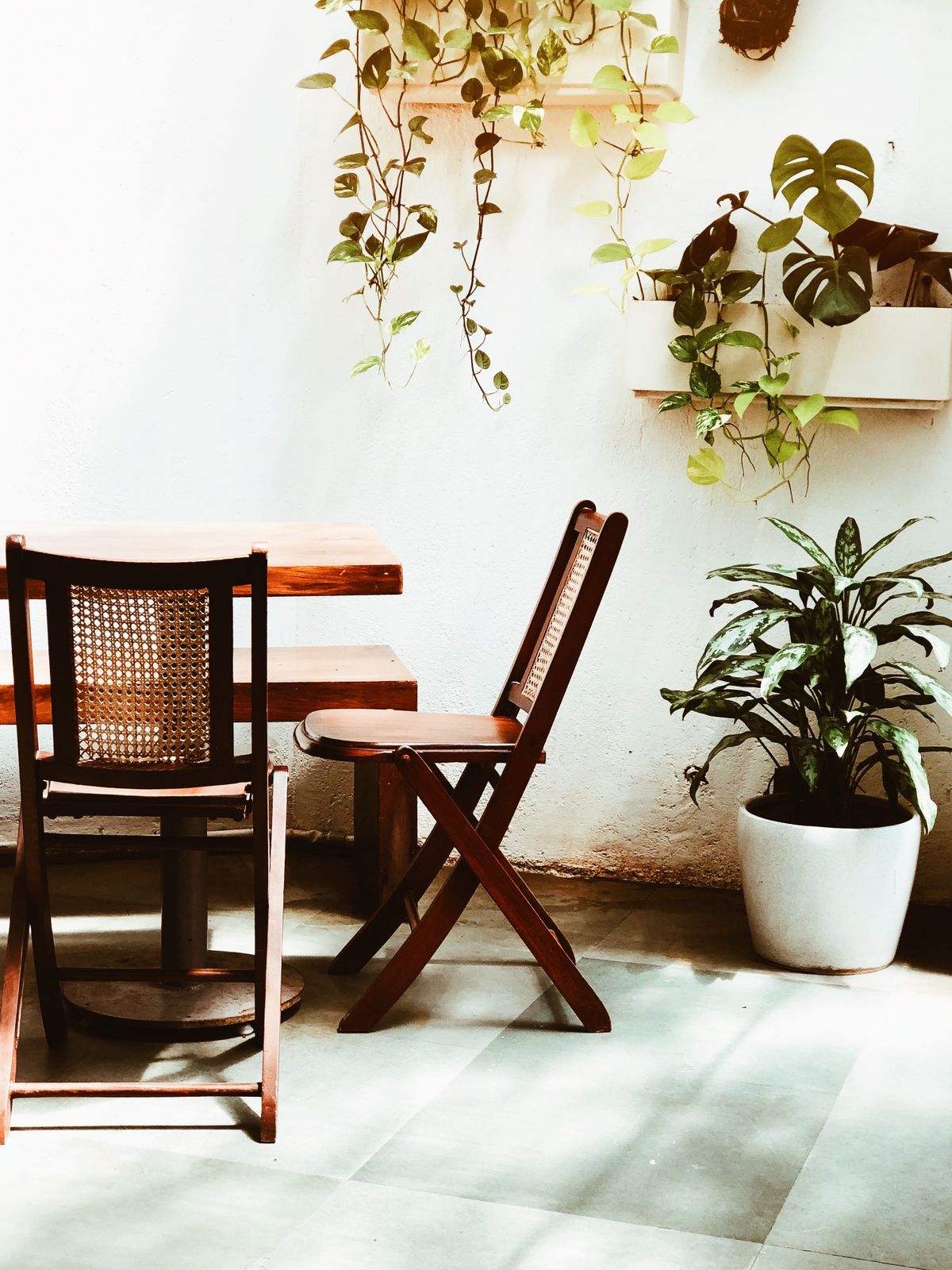 Cozy indoor setting featuring wooden furniture and hanging plants, perfect for a relaxing atmosphere.