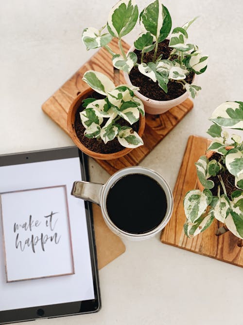 Black Coffee on a Mug Beside Potted Plants and Digital Tablet