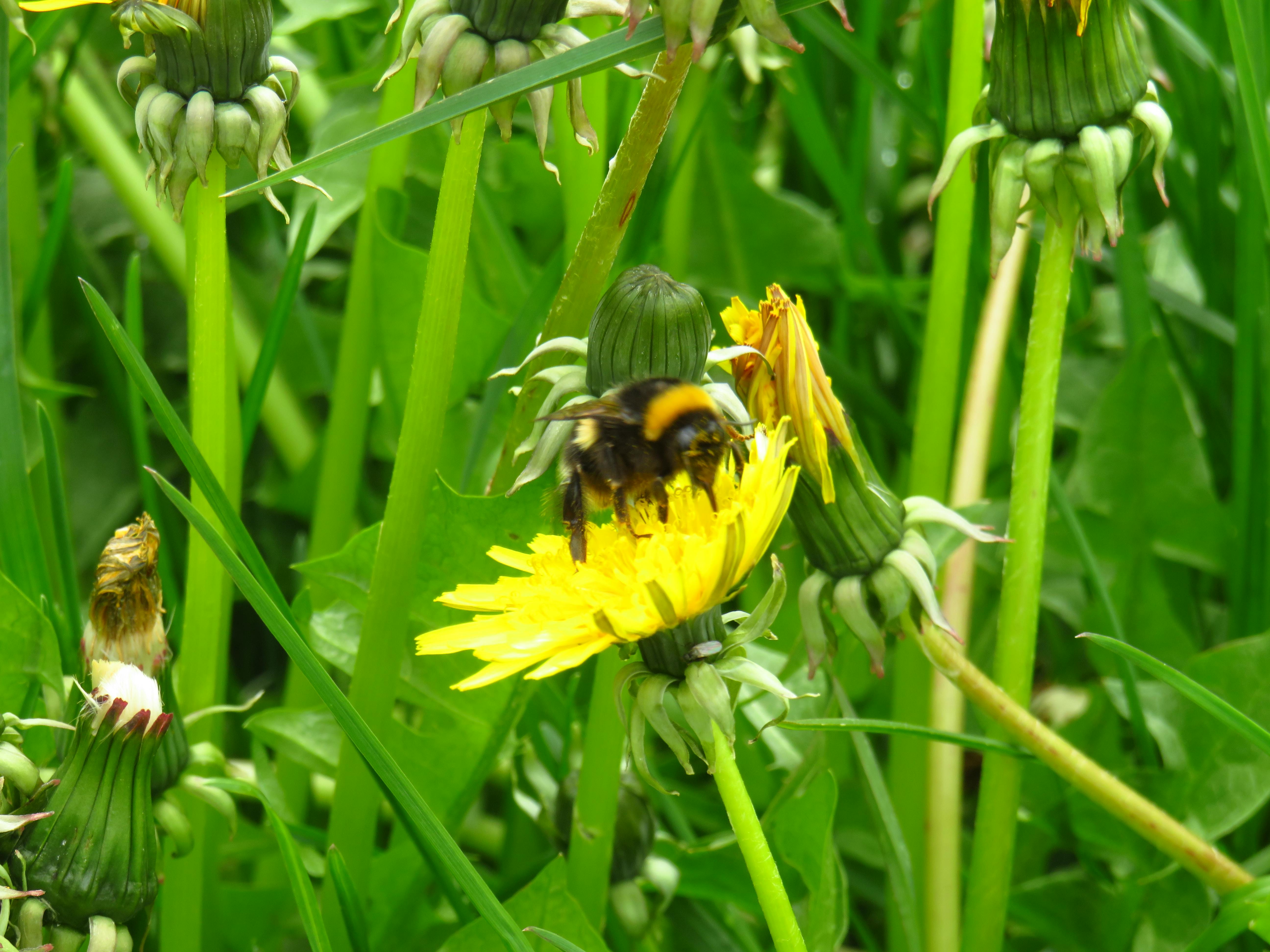 테슬라 전기차 충전