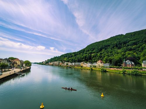 Free Aerial view of a canoe on a picturesque river lined with greenery and buildings. Stock Photo