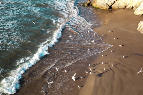 Foto profissional grátis de ao ar livre, areia, beira-mar