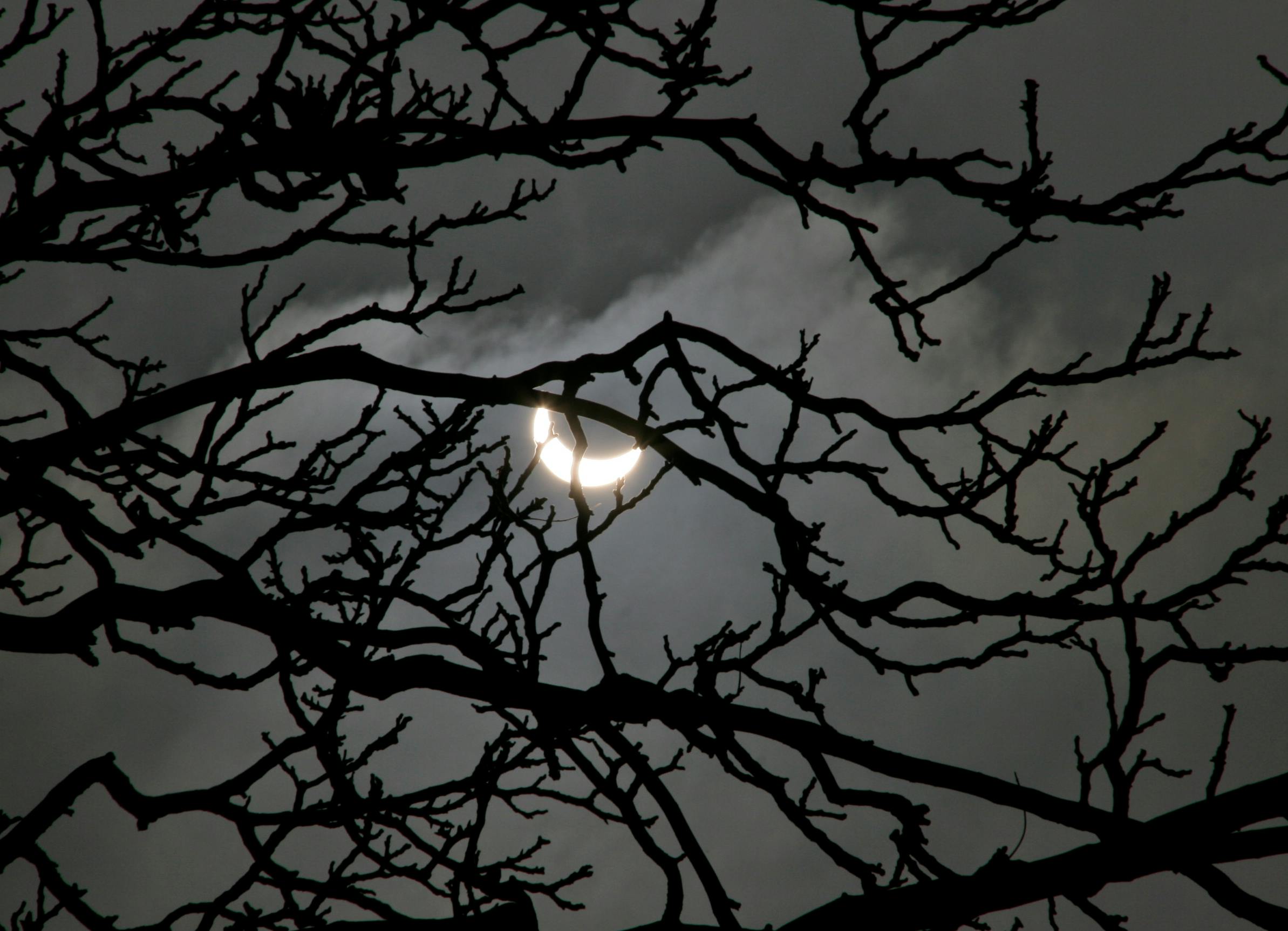 Free stock photo of clouds, solar eclipse, tree branches