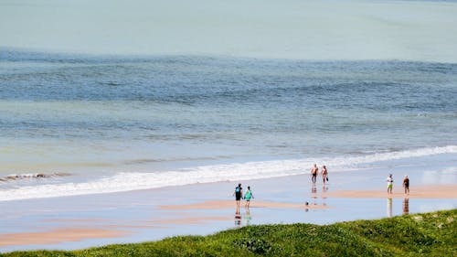 Foto profissional grátis de à beira-mar, água, andando