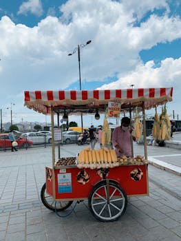 Vibrant street food cart selling corn and chestnuts in Fatih, İstanbul.