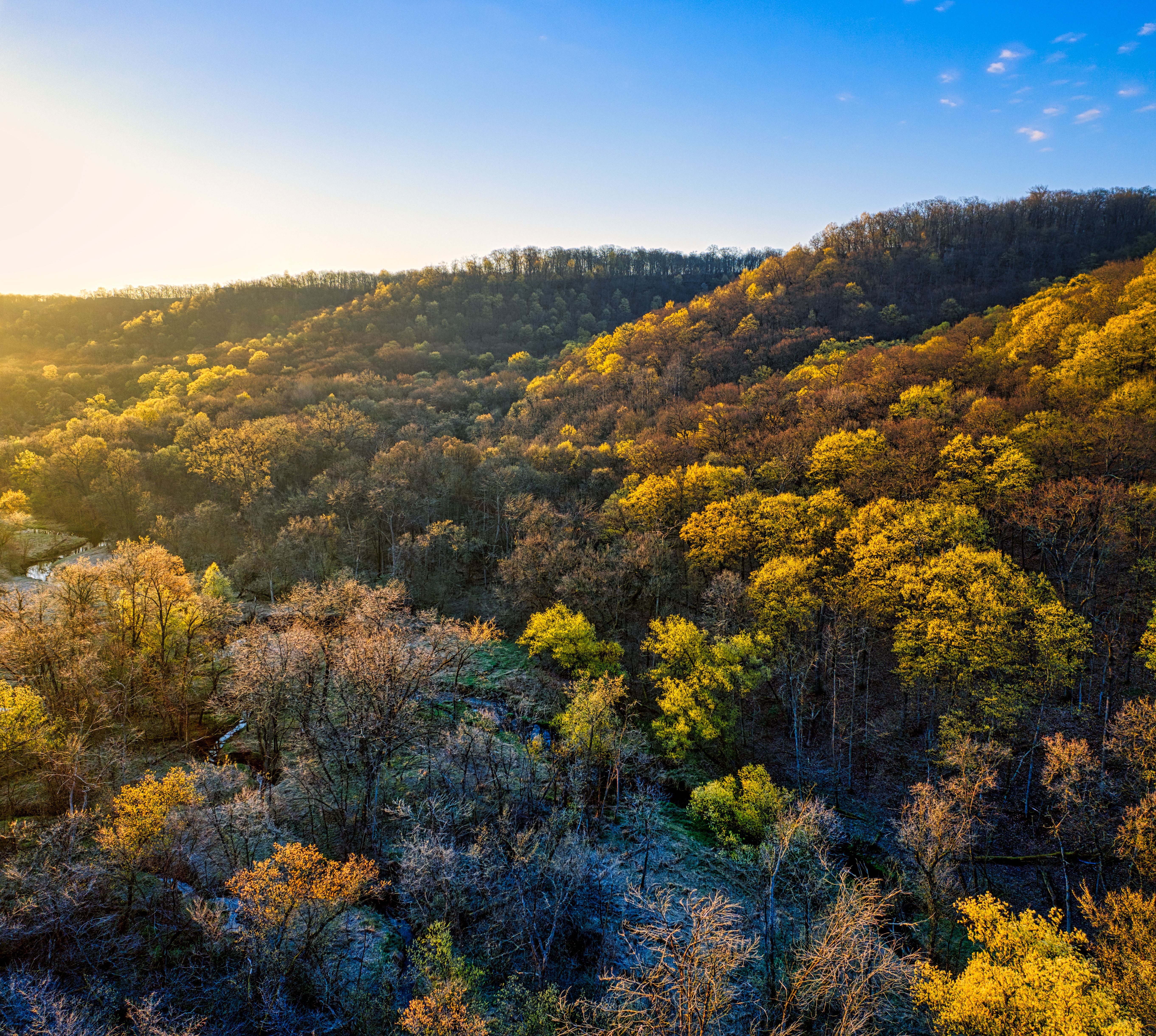 Beautiful aerial view of autumn forest with colorful foliage in Minnesota, USA.