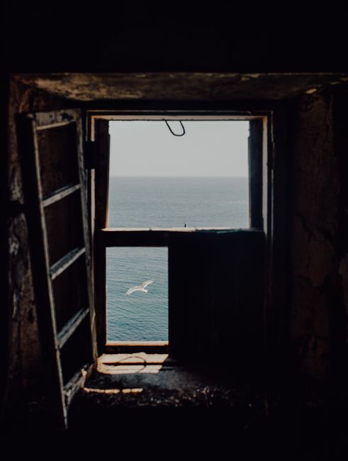 Tranquil scene of a seagull soaring over the ocean, viewed through an old open window.