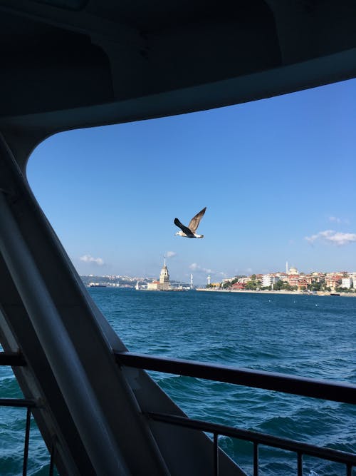 Immagine gratuita di acqua, barca, Istanbul
