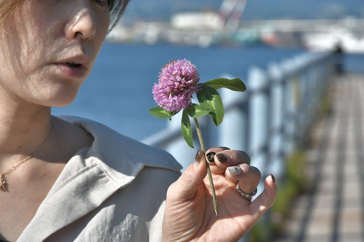 Woman Holding A Clover Flower 