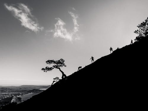 People Climbing a Mountain