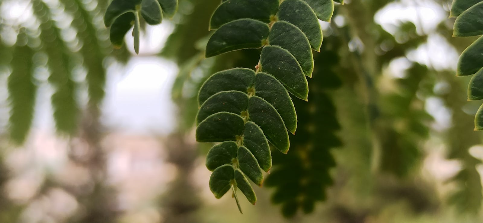 A couple holding hands in front of a camera symbolizing life in the public eye