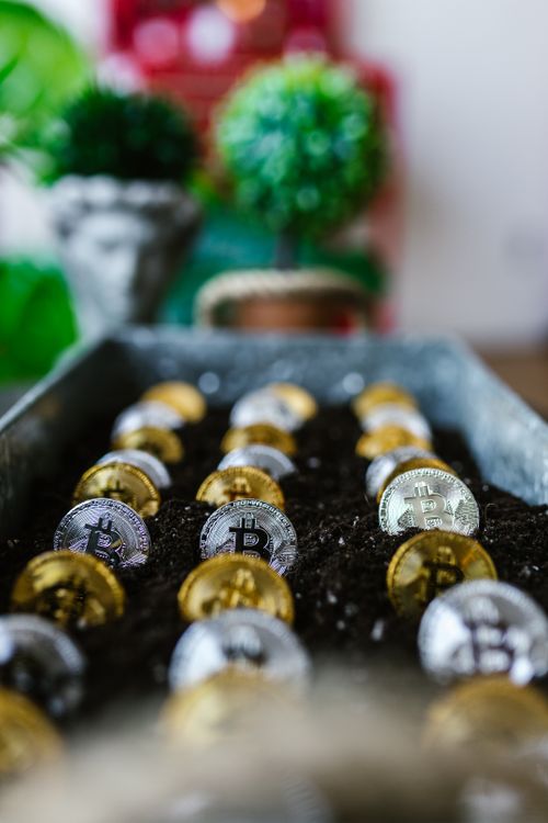 Free Conceptual image of Bitcoin coins planted in soil, representing cryptocurrency investment growth. Stock Photo