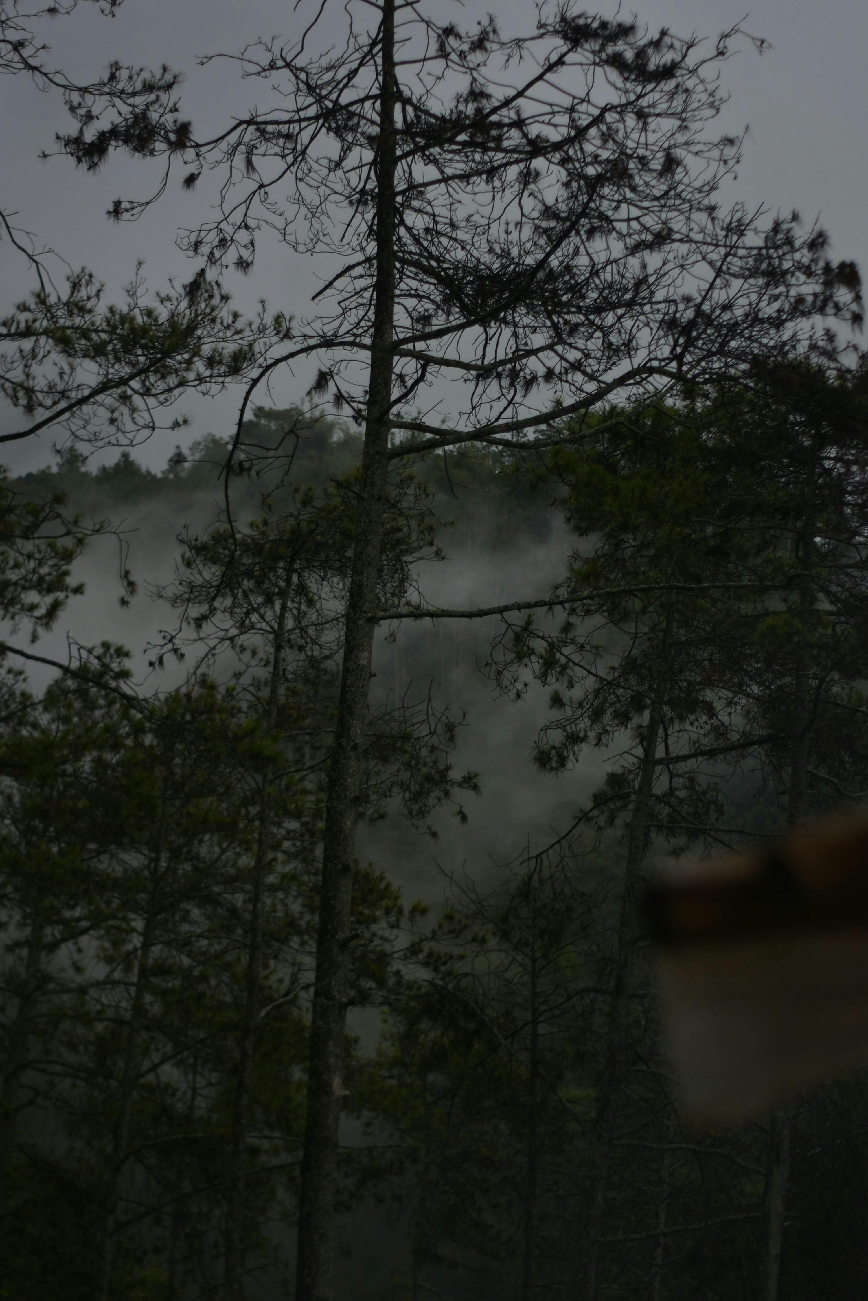 A hardware wallet and cryptocurrency coins on a desk, emphasizing security and self-custody.
