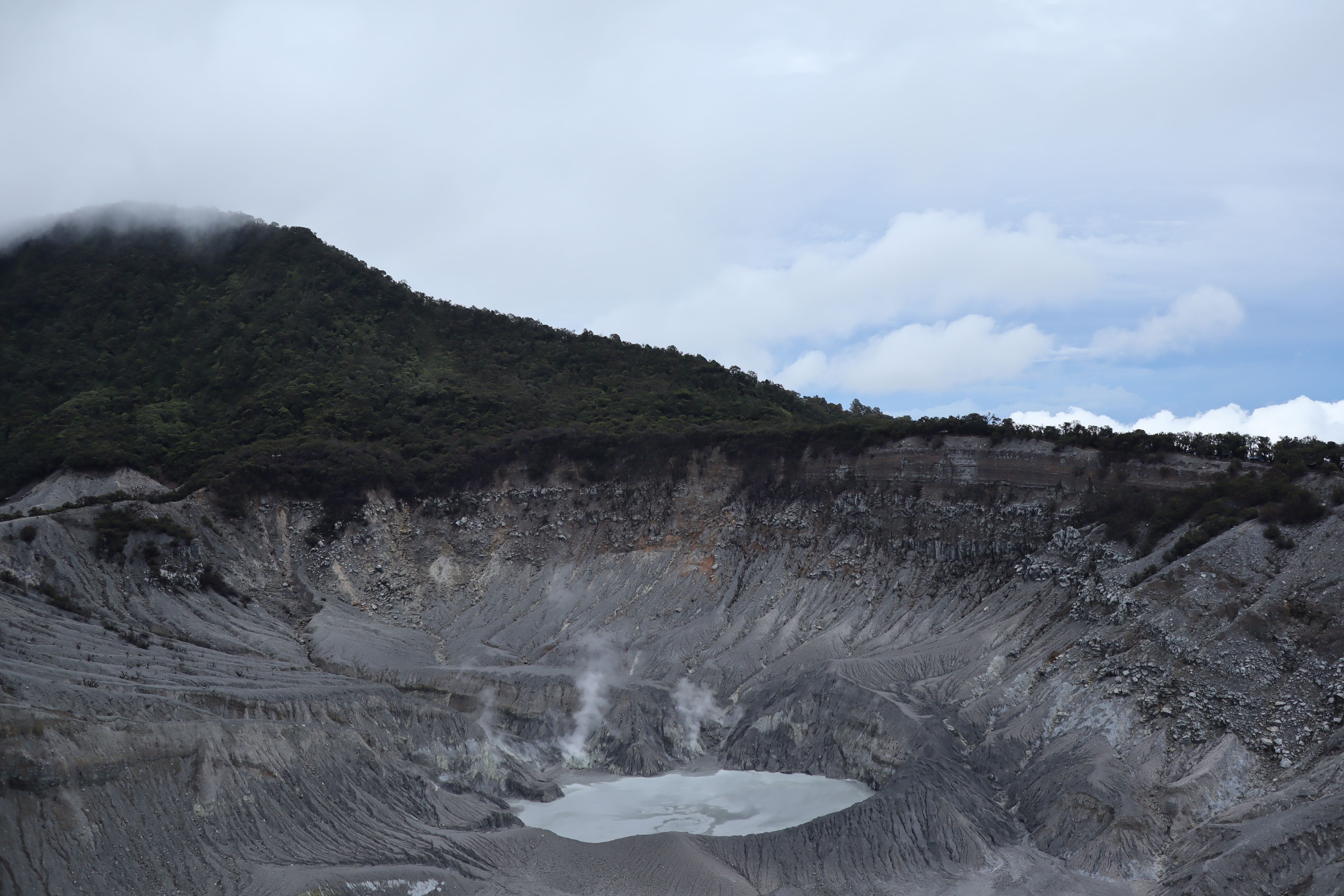 Mining Expert