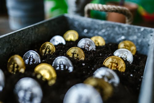 Free Close-Up Shot of Bitcoins Buried in the Ground Stock Photo