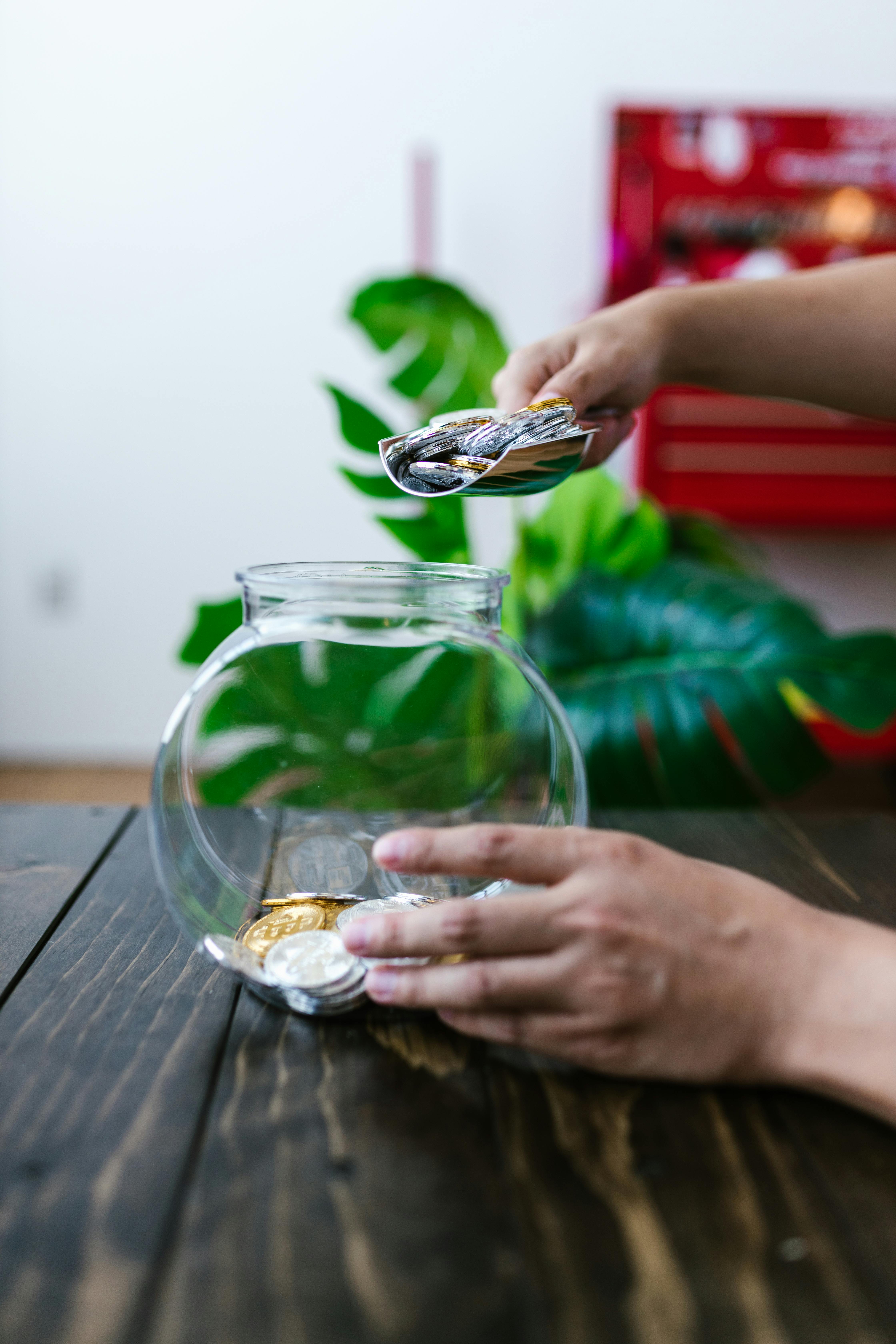 person holding clear glass fish bowl