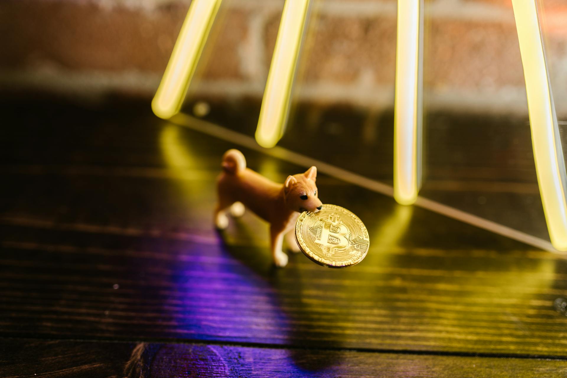 Miniature Toy Dog holding a Gold Coin on Brown Wooden Floor