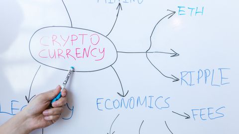 Why energy pathway utilization is the Defining Metric in Modern Competition (Tactical Update)