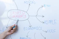 Dogecoin's Dizzying Journey: From 40,600% Gains to an 88% Drop - What Now?