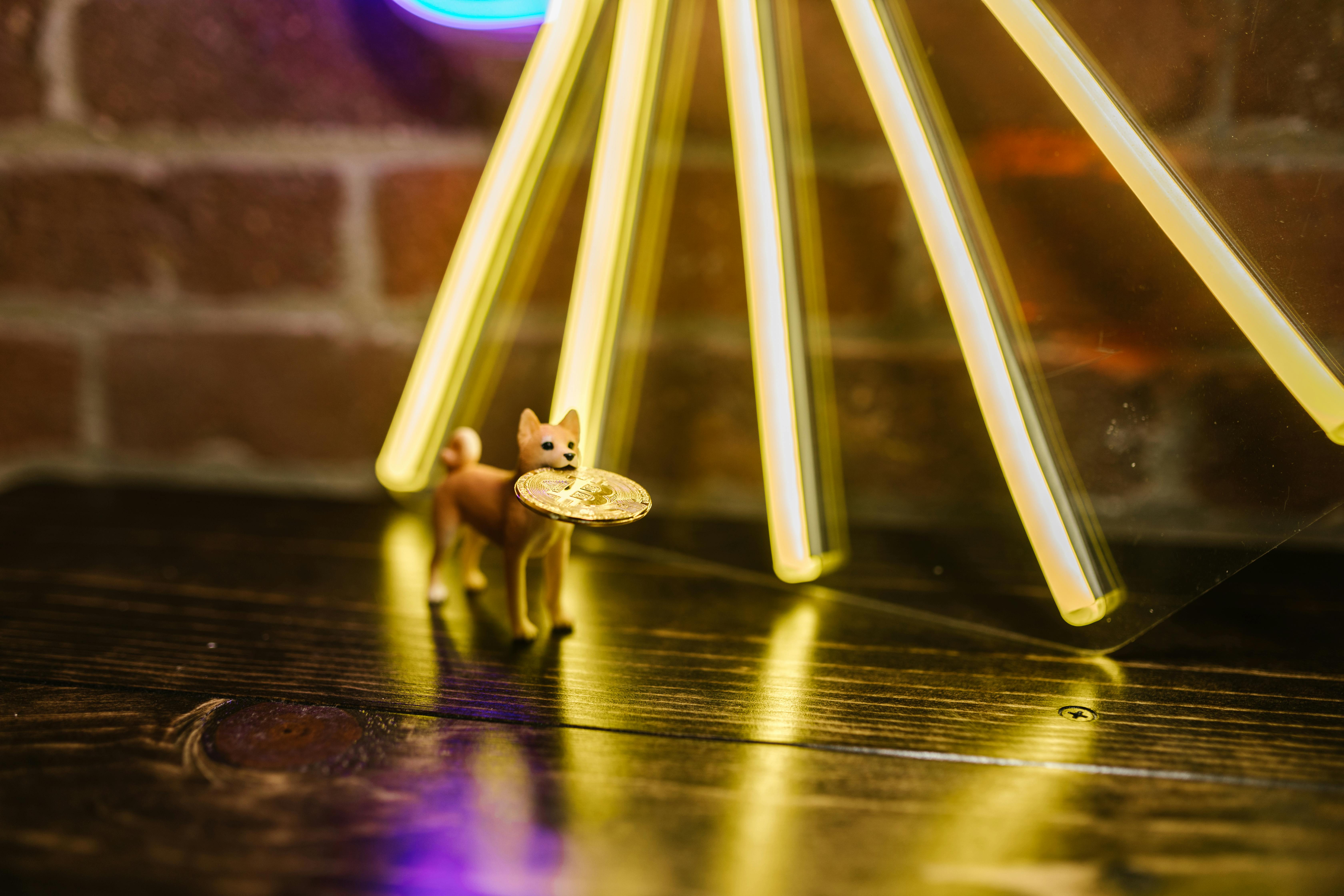 gold coin on brown dog figurine