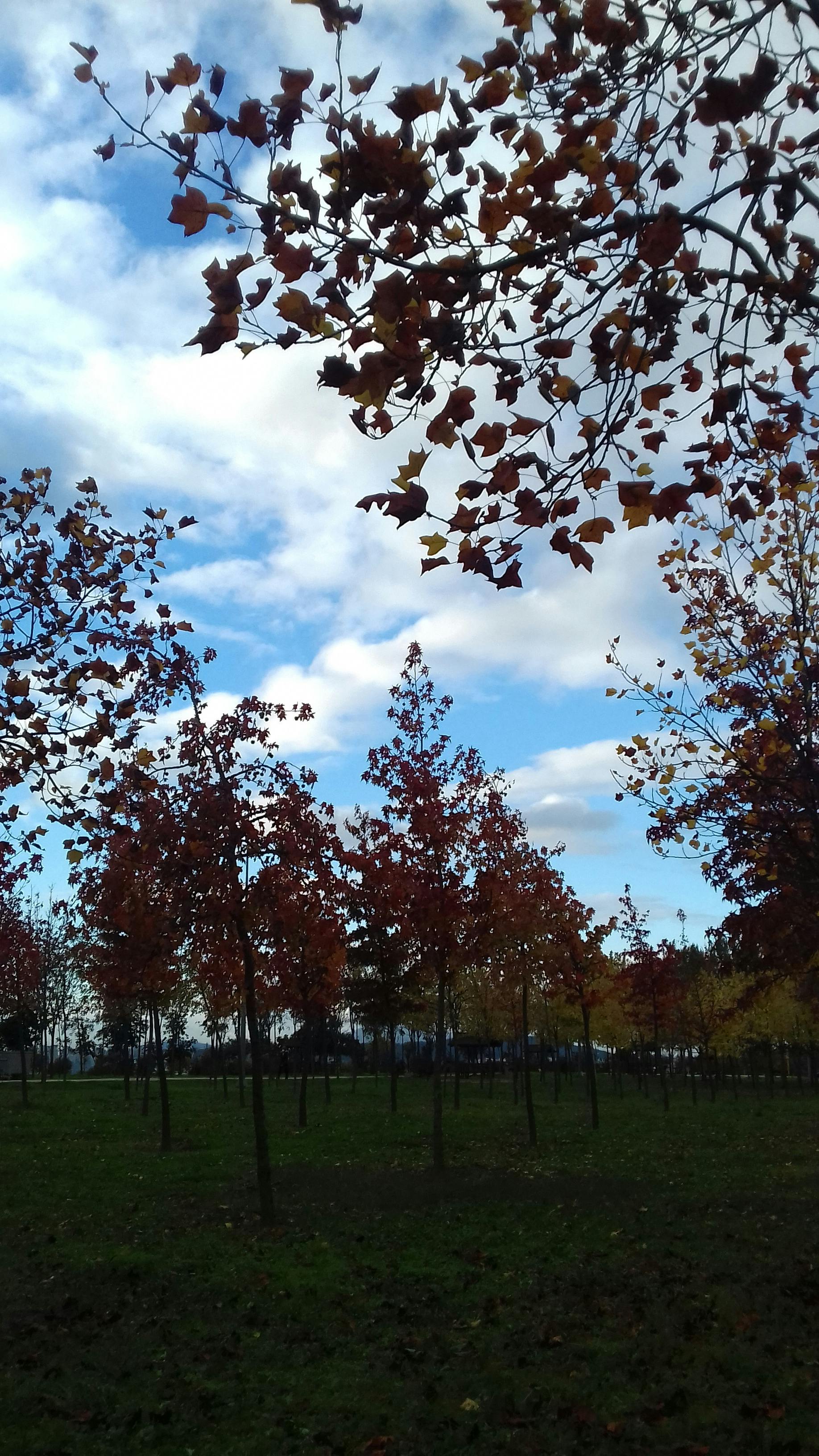 업비트 바이낸스 송금 비교