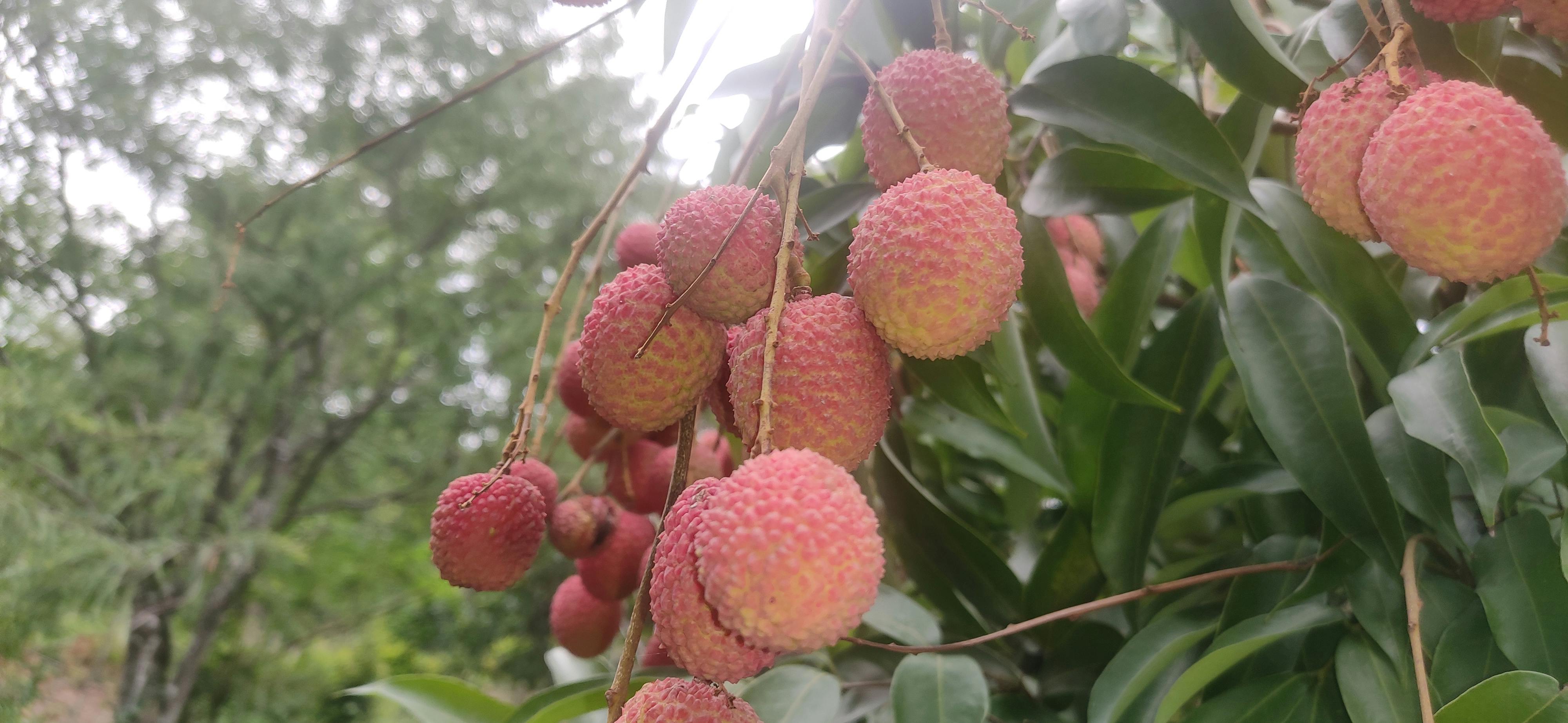 2025년 하반기 주식시장 전망