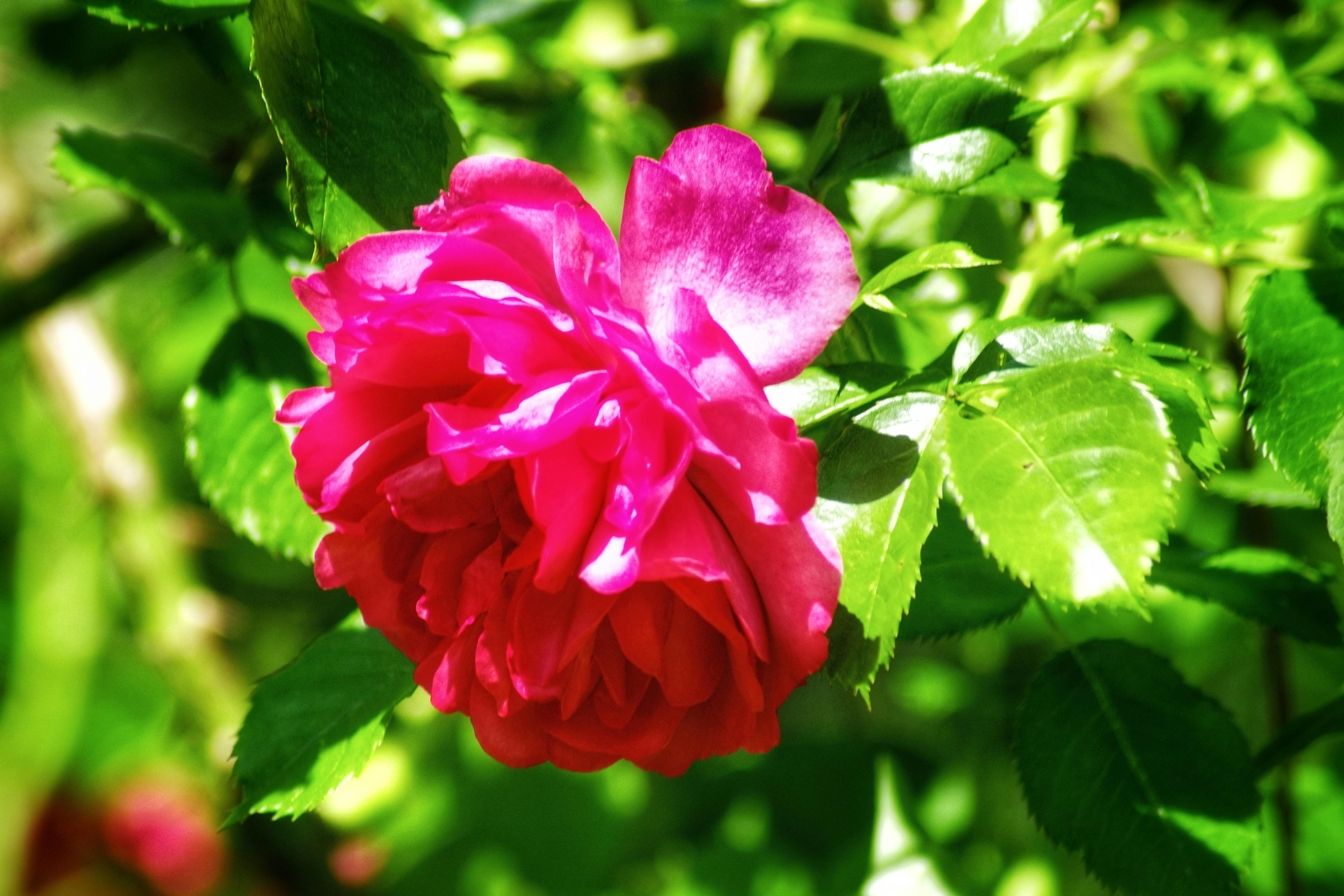 Choosing the best cryptocurrency app 2025 guide for investors