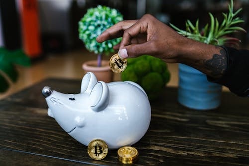 Free A Person Putting Bitcoin in a Piggy Bank Stock Photo