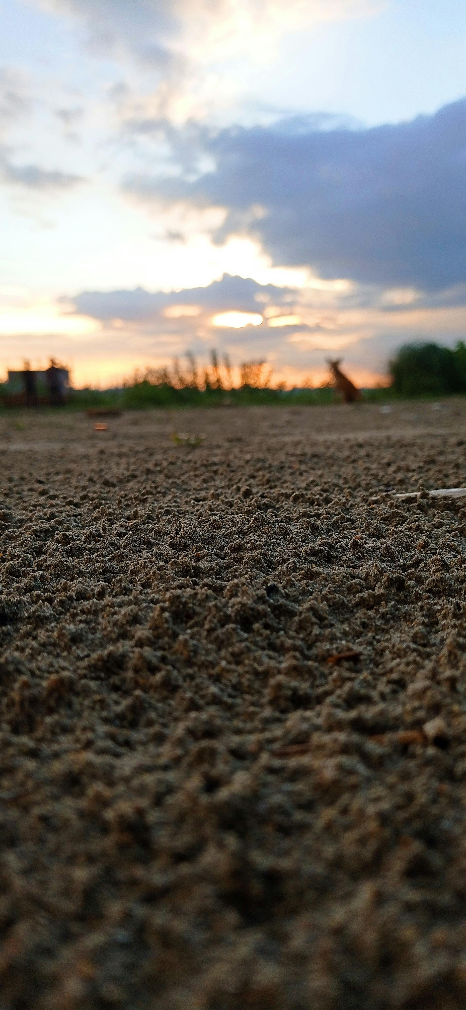 Gráfico de velas mostrando padrões de ação de preço no mercado Forex