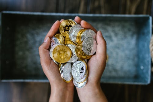 Person Holding Gold and Silver Round Coins