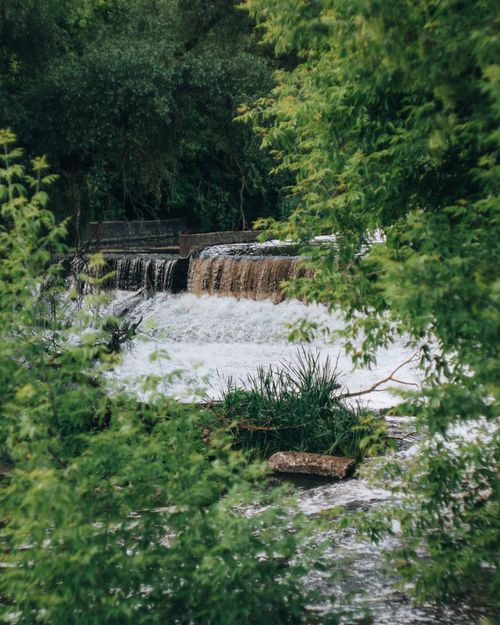 Free Beautiful waterfall cascading in a forest setting, showcasing lush green plants and clear flowing water. Stock Photo