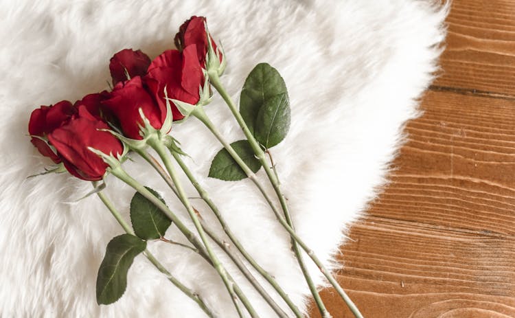 Bouquet Of Delicate Flowers On White Carpet