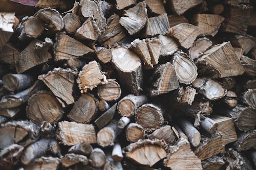 Free Pile of Chopped Logs Stock Photo