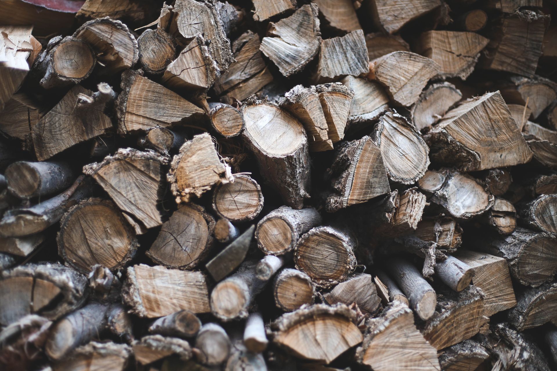 Pile of Chopped Logs