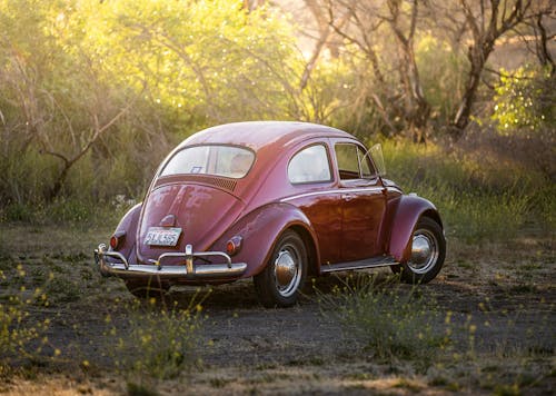 Free Бесплатное стоковое фото с beetle, volkswagen, автомобиль Stock Photo