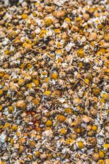Ajwain Extract