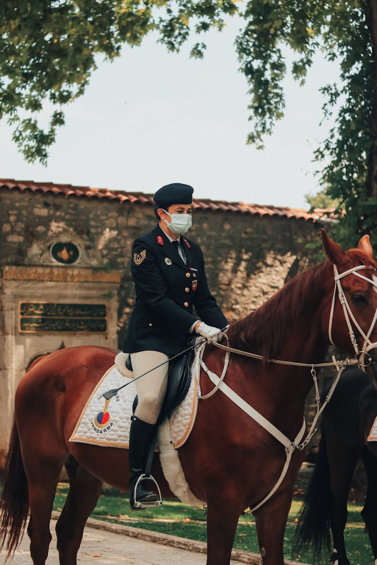 Elegant Soldier On Brown Horse