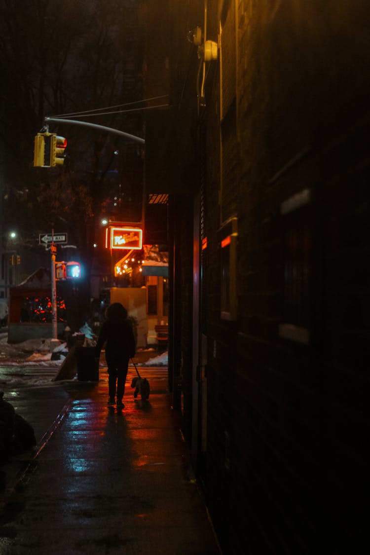 Woman Walking Her Dog At During Night Time