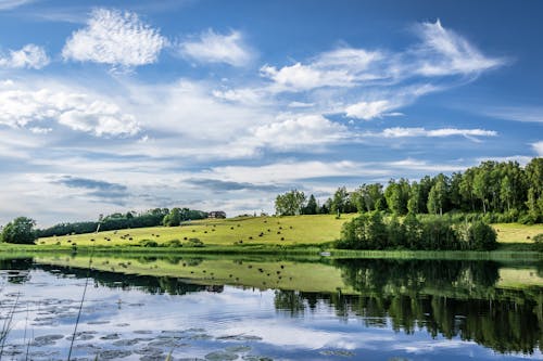 Free stock photo of sky