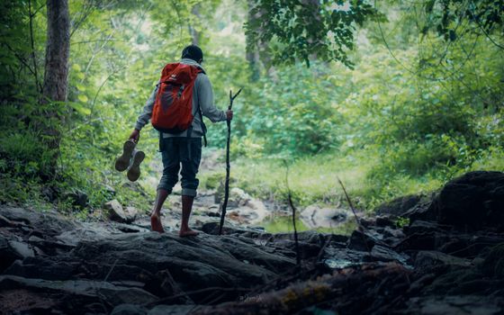 An adventurous hiker walks barefoot through a green forest in Kerala, India, exploring nature with a backpack and walking stick.