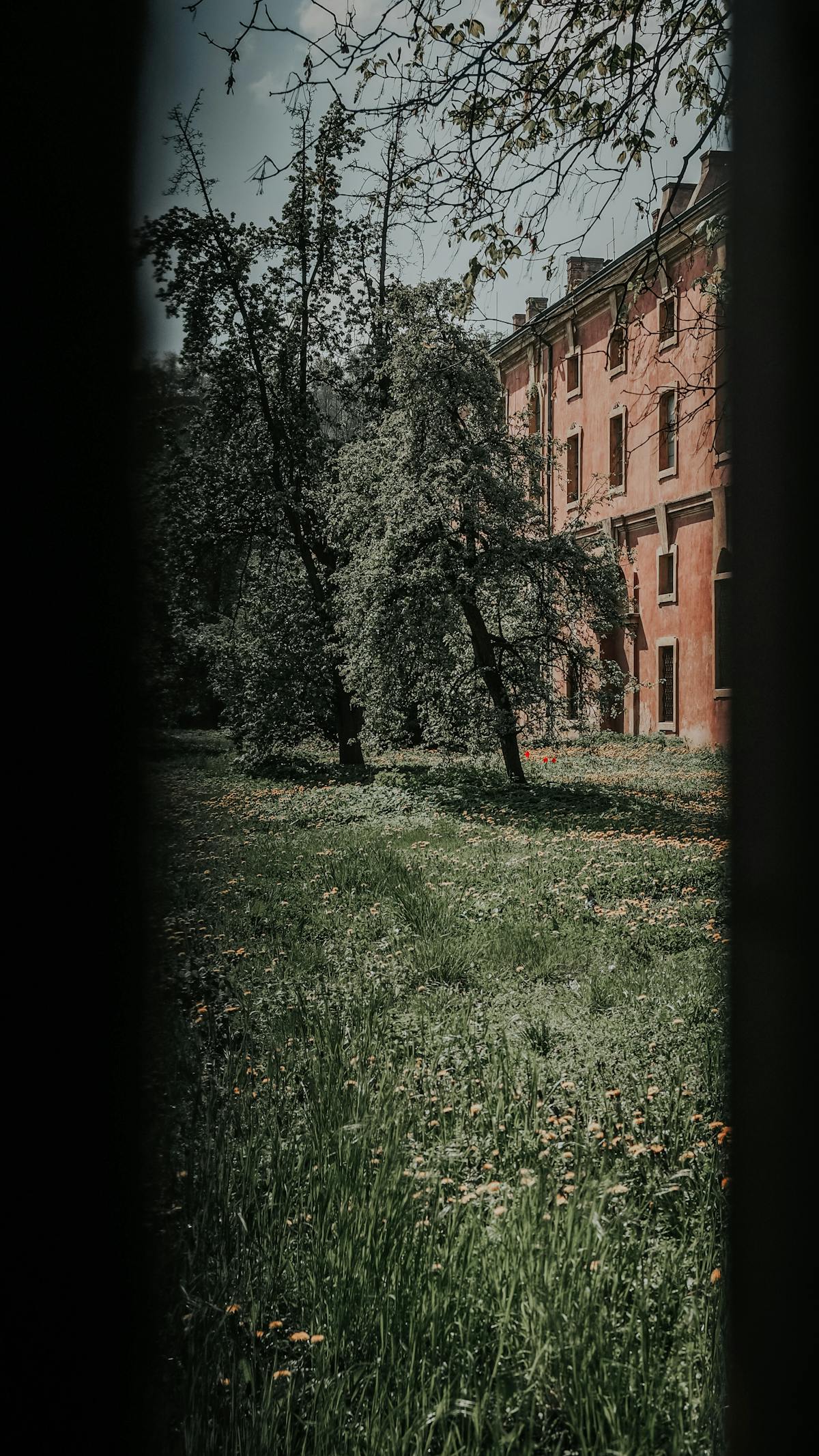 Two friends talking and laughing in a cafe, symbolizing Libra Moon social energy