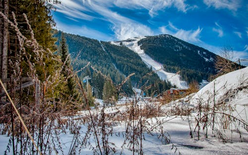 Kostenlos Grüner Berg Mit Schnee Bedeckt Stock-Foto