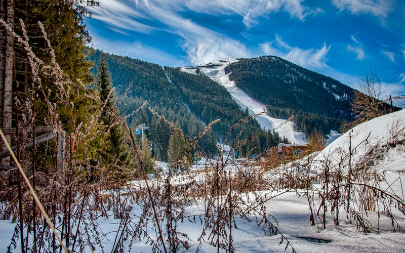 The Ski Slopes & Gondola