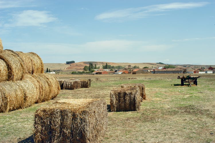 Hay Bales Lying In Field