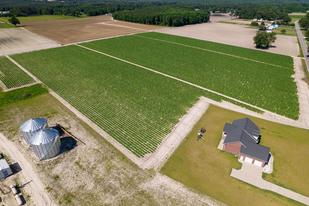 Aerial view of agricultural land and cultivated fields