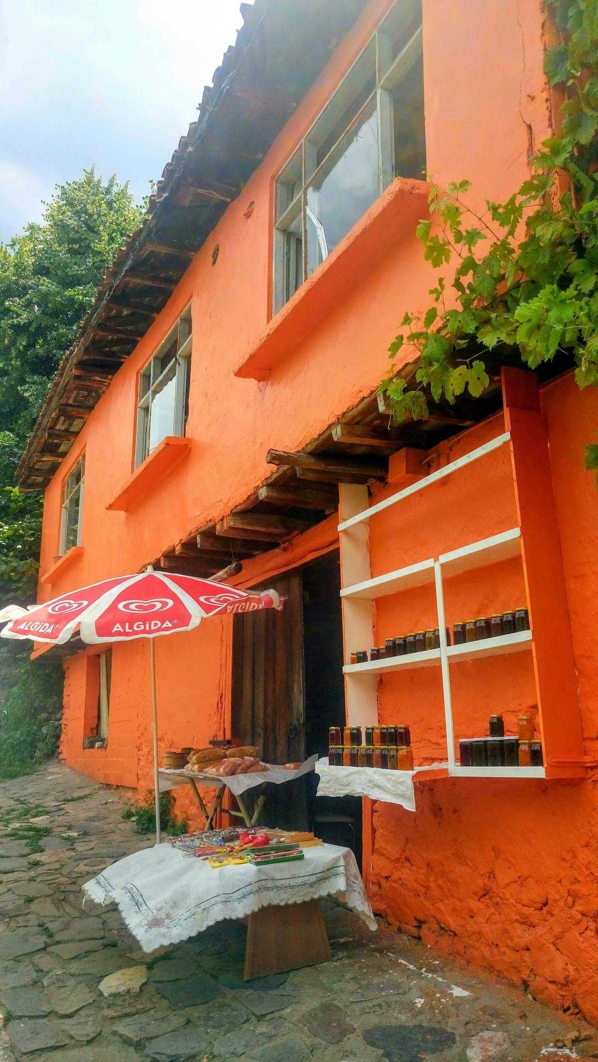 Why Some Systems Survive Longer Than Their Platforms