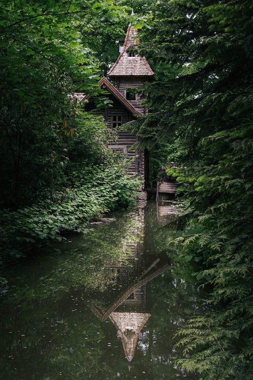 垂直拍摄, 木房子, 森林 的 免费素材图片