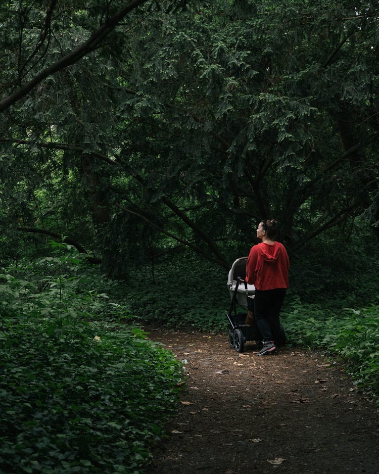 Woman Pushing A Stroller In The Forest