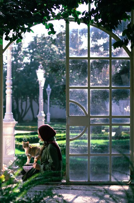 Side view of anonymous lady in headwear and casual clothes sitting near cat and window near green plants and trees near streetlights in summer sunny day in park