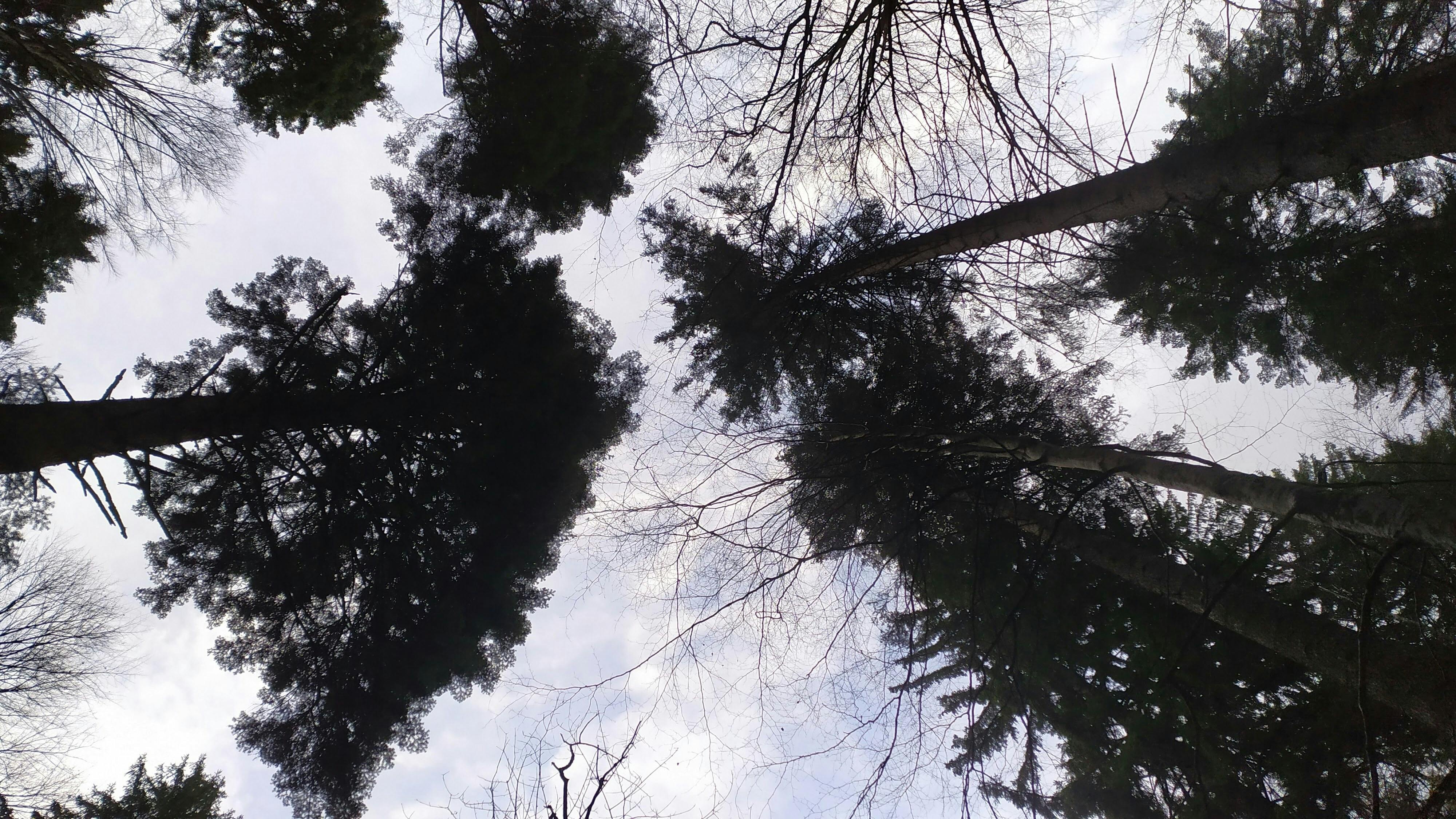 Infographic-style illustration of brain, heart and blood vessels