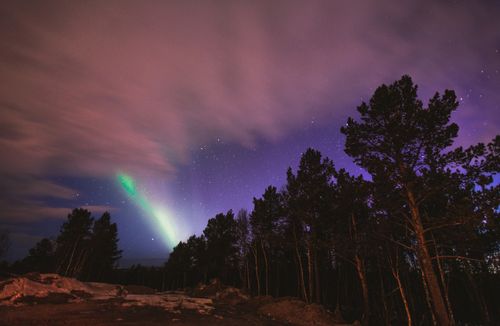 Free Stunning aurora borealis illuminating a starry night sky above a forest, creating a magical landscape. Stock Photo